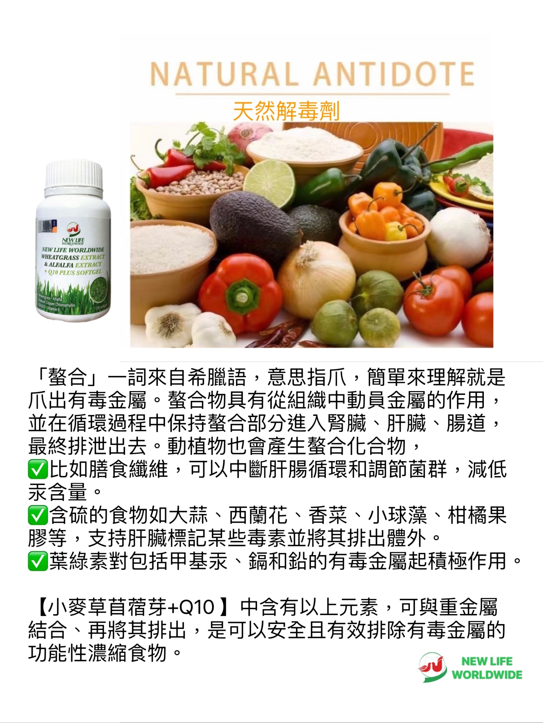 F0FB5503-C949-4AE3-9700-6EB1B40106B1